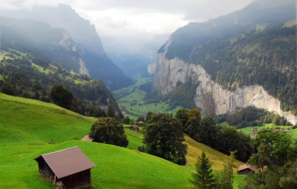 Деревья, горы, скалы, Швейцария, долина, склон, деревня, панорама
