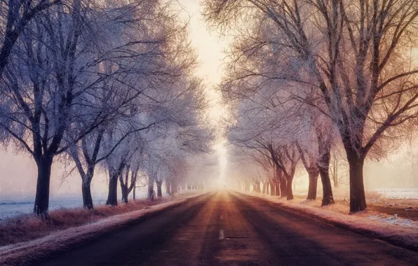 Картинка зима, иней, дорога, туман