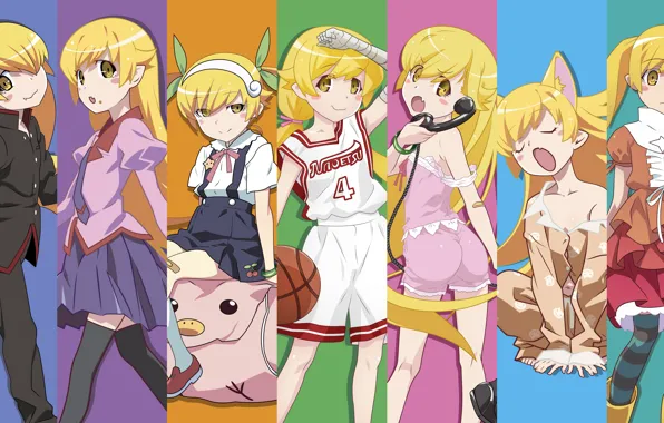 Kawaii, anime, chibi, vampire, manga, bishojo, Bakemonogatari, Monogatari