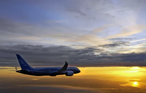 Картинка Boeing 787-8 Drimeliner, Continues, Flight Testing