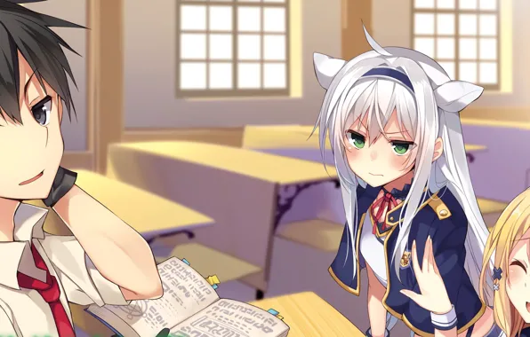 Neko, anime, sensei, bishojo, mahou, japanse, Rokudenashi Majutsu Koushi to Akashic Records, Akashic Records of …