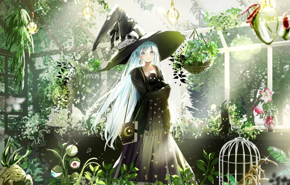 Девушка, шляпа, Кот, Dress, ведьмочка, Aqua Hair