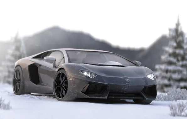 Lamborghini, Aventador, Lamborghini Aventador, Lamborghini Aventador In Ice, In Ice