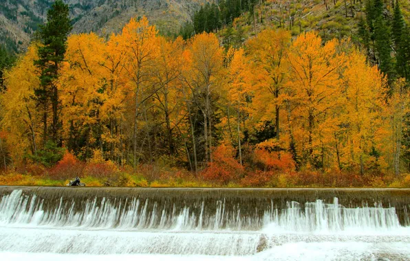 Картинка осень, лес, деревья, река, водопад, поток, пороги