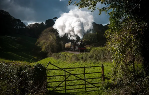 Природа, дым, поезд, паровоз, вагоны