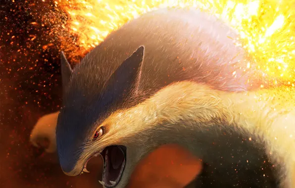 Game, anime, animal, asian, Pokemon, manga, japanese, oriental