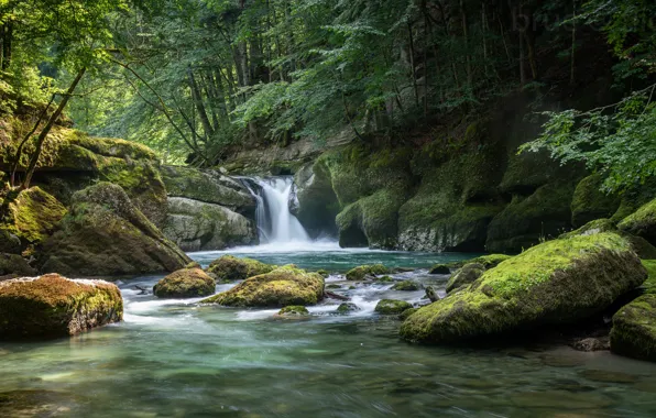 Картинка лес, река, камни, водопад, мох, Швейцария, Switzerland, Санкт-Галлен