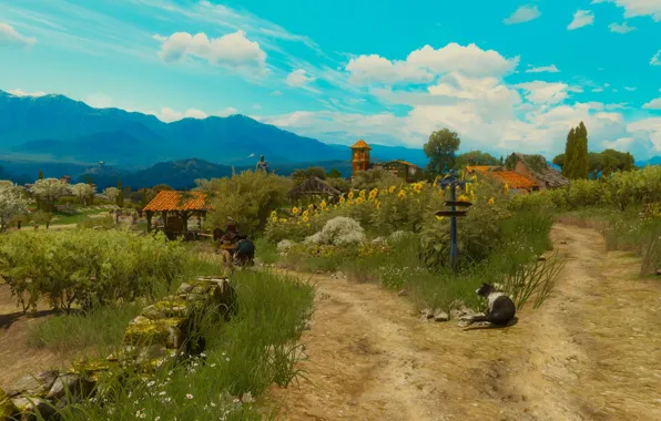 Красота, ведьмак, The Witcher 3: Wild Hunt, туссент