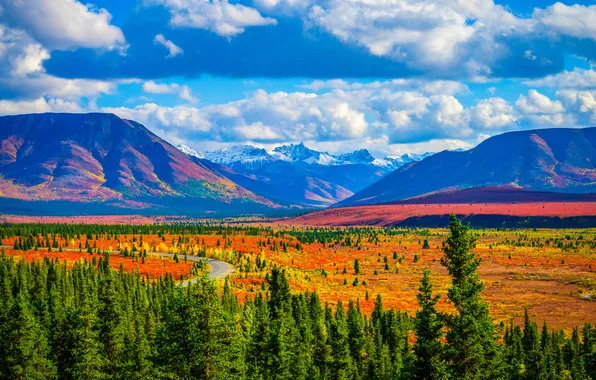 Дорога, небо, солнце, облака, деревья, горы, поля, Alaska