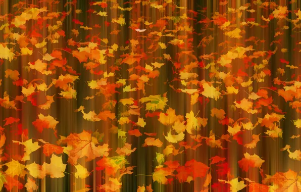 Осень, листья, Fall in motion