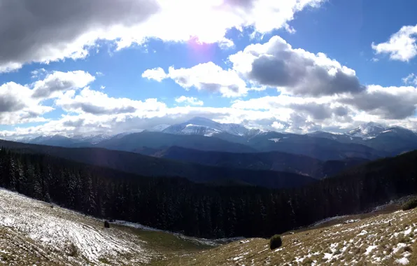 Лес, тучи, карпати, гори, Говерла