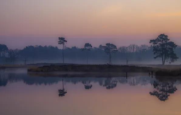 Картинка туман, рассвет, утро, низинные болота