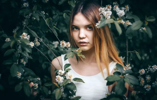 Взгляд, девушка, ветки, лицо, волосы, портрет, цветение, цветки