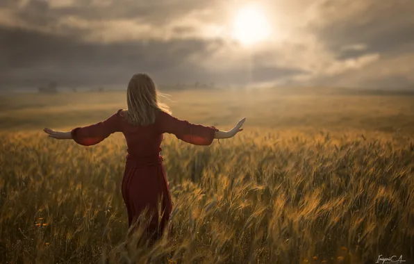 Пшеница, поле, девушка, солнце, ветер, спина, Antonio A Conde