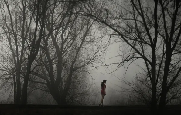 Девушка, деревья, туман, одиночество