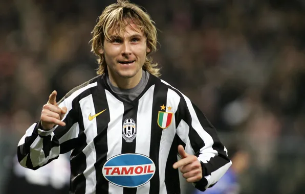 Картинка Чешская ракета, Павелина, Павел Недвед, Ювентус, Juventus, Pavel Nedvěd, Конь