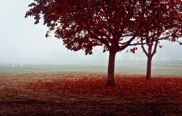 Картинка поле, осень, туман, ворота