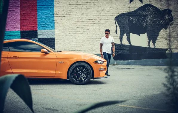 Стена, транспорт, мужик, автомобиль, Ford MUSTANG GT - serie IV