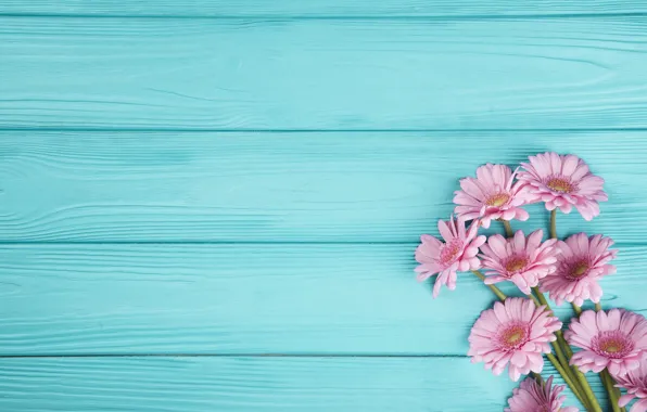 Картинка цветы, фон, букет, герберы