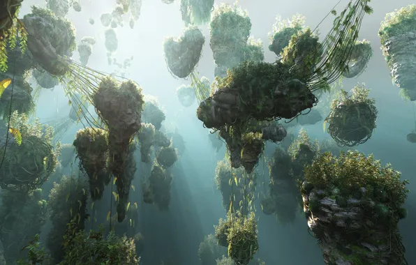 Камни, растительность, Pandora 2