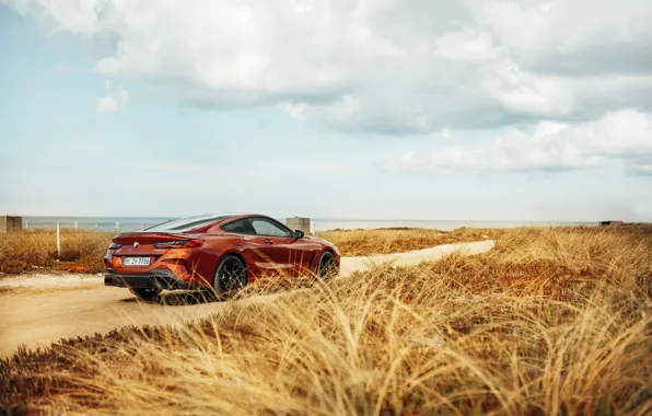 Картинка трава, побережье, купе, BMW, Coupe, 2018, 8-Series, тёмно-оранжевый