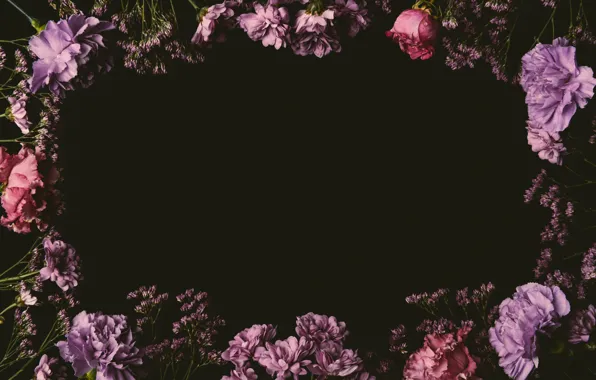 Цветы, розы, colorful, розовые, черный фон, black, pink, flowers