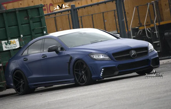CLS, Mercedes, tuning, Wald, Black Bison