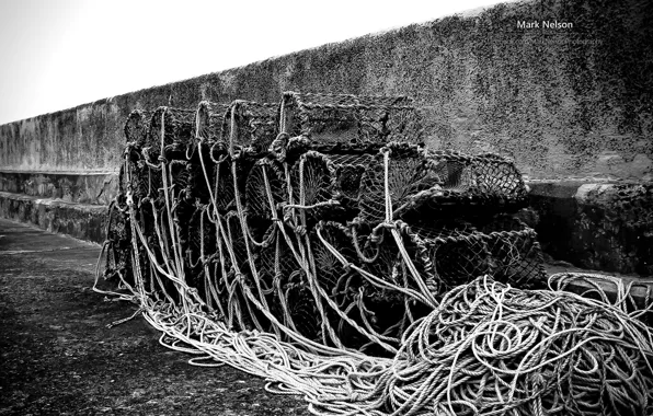 Фотограф, магия чб фото, Monochromatic, Mark Nelson