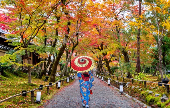 Картинка осень, листья, девушка, деревья, парк, colorful, Япония, Japan