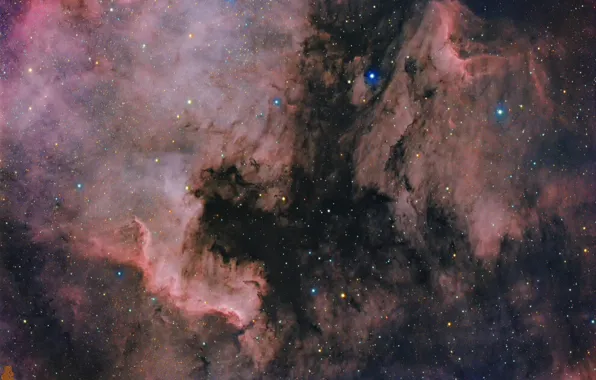 Картинка космос, туманности, Северная Америка, Пеликан