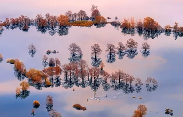 Картинка вода, деревья, люди, лодка, наводнение, доска, Словения, бассейн реки Любляница