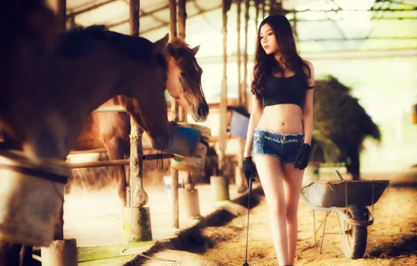 Картинка girl, beautiful, model, horses, asian