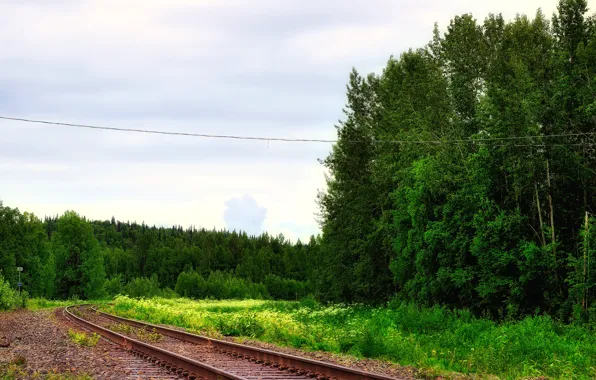 Дорога, лес, небо, рельсы