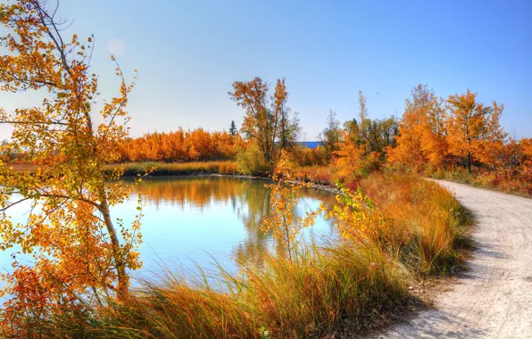 Картинка дорога, осень, небо, трава, листья, деревья, природа, пруд