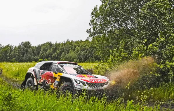 Вода, Природа, Спорт, Скорость, Грязь, Peugeot, Россия, Rally