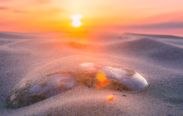 Summer, beach, sea, stone, sunset, evening, sand, vacation