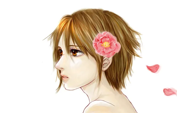 Цветок, лепестки, арт, Линия Дьявола, Devils Line, Tsukasa Taira