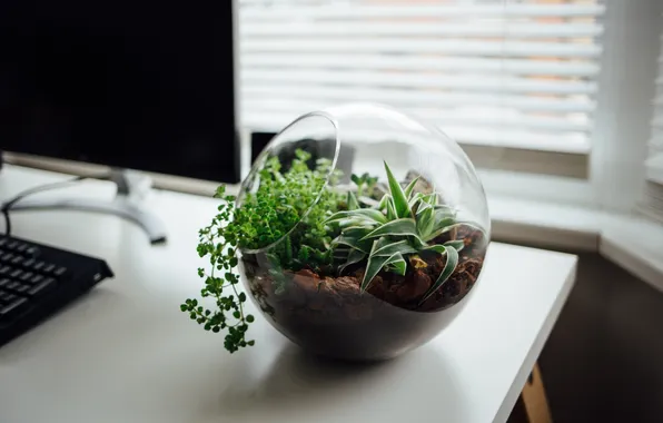 Картинка table, monitor, ornamented, esk