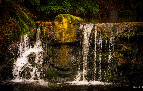 Водопад, Канада, Ванкувер, Vancouver, Stanely Park