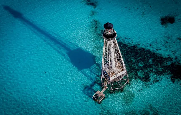 United States, Florida, Alligator Reef
