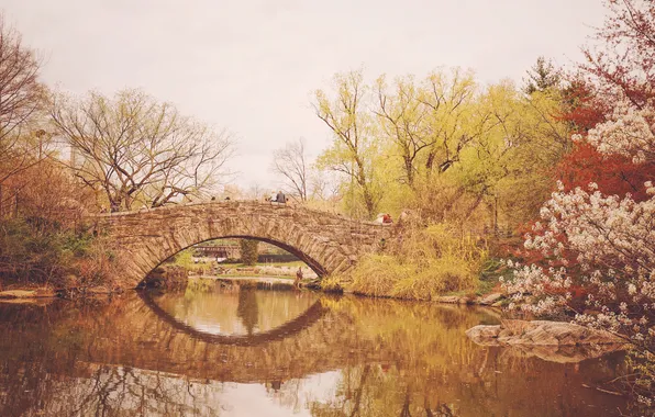 Картинка деревья, мост, озеро, отражение, Нью-Йорк, зеркало, вишни, Центральный парк