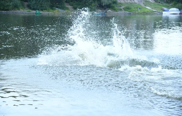 Вода, река, ныряльщик, бульк, речное торнадо
