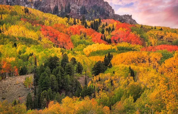 Осень, лес, облака, деревья, горы, скалы, Colorado, San Juan Mountains