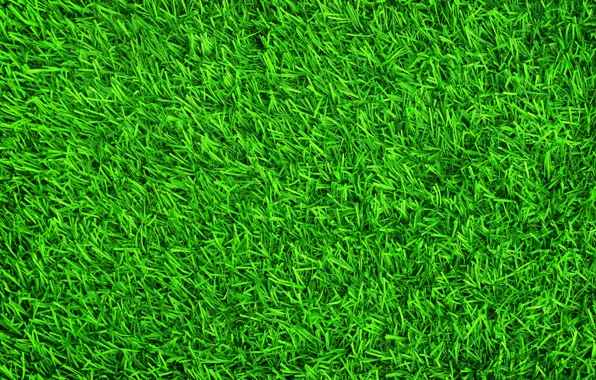 Картинка трава, фон, газон, green, summer, grass, зеленая