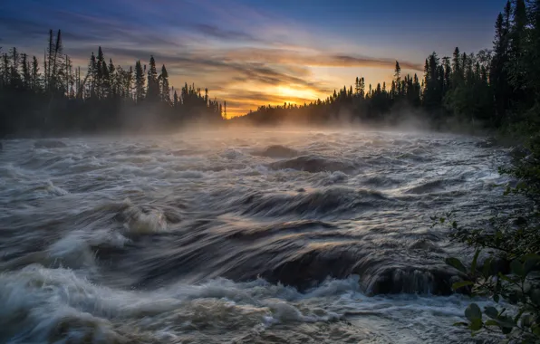 Лес, вода, закат, туман, река, течение, поток, водоем