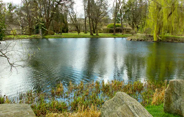 Water, park, lake, pond