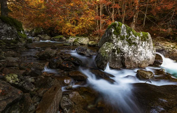 Осень, лес, скалы, берег, листва, водопад, поток, краски осени