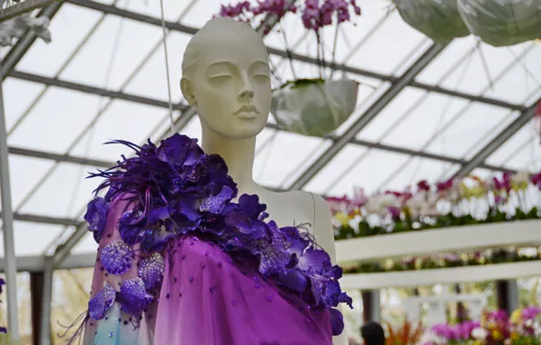 Holland, Keukenhof, Niederlande, Blumenhof