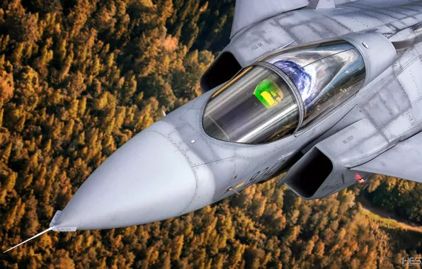 Saab, Gripen, JAS 39, ВВС Чехии, Кокпит, SAAB, Saab JAS 39C Gripen, ПГО