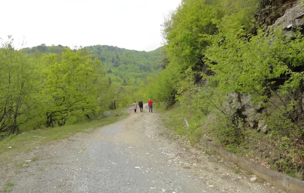 Nature, spring, Pieria